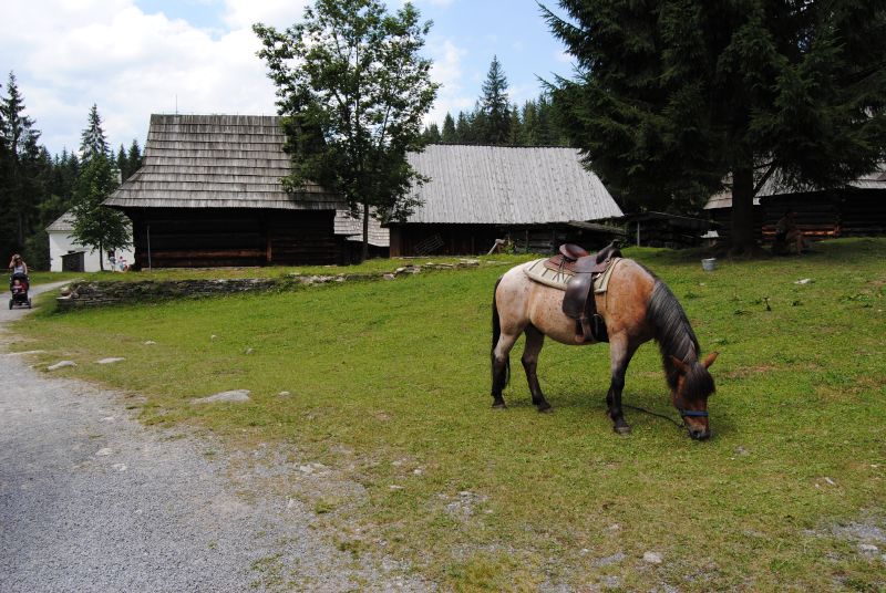 pepajs.cz